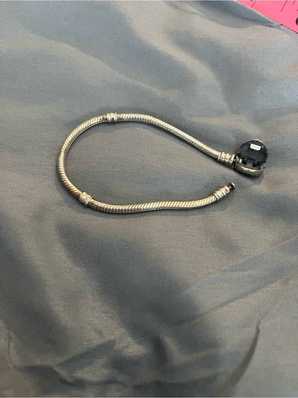 Pandora charm bracelet